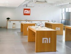 <b>脚市场需求</b>