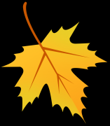 除公办长儿园学前一年正在园儿童保育教育费